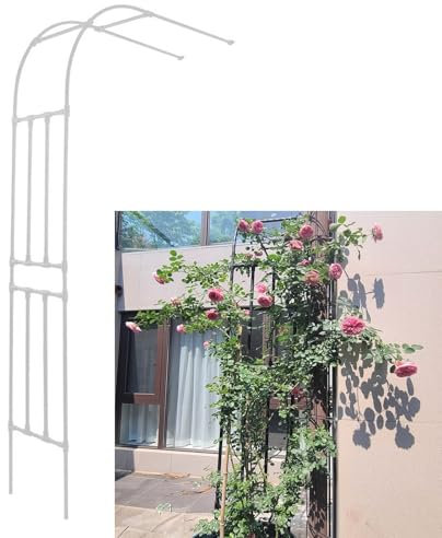 Halvrund trädgårdsbåge pergola för klätterväxter och inomhusträdgårdar