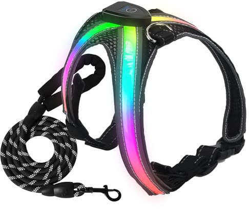 Harnais Lumineux, Harnais Chien avec Laisse Chien, Arnet pour Chiens, Gilet de sécurité LED, 7 Couleurs, Facile à Mettre, Gilet Réfléchissant Réglable pour Chiens Moyen Grand