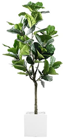 Künstliche Pflanzen Large Artificial Plants Branch Tropical Ficus Fake Banyan Tree Plastic Leaves Simulation Tree for Home Garden Decor Fake Pflanzen Dekor (Color : C, Size : 170cm)