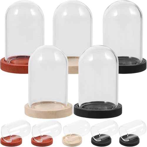 Gadpiparty Lot de 10 Cloches De Présentation en Verre pour Plantes Et Jardin D'Intérieur Vitrine Permanente Meuble D'Exposition Mini Cloche en Verre