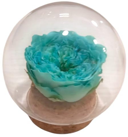 ROSA AZUL TURQUESA natural preservada. Cupula de cristal. Rosa eterna azul. Comprar rosas azules. Flores preservadas. Cupula con flor azul. Regalo original, cumpleaños, aniversarios, decoracion.