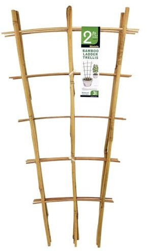 Mininfa Natural Bamboo Trellis, 2FT Garden Ladder Trellis for Climbing Plants, Vegetables, Pots - 3 Pack