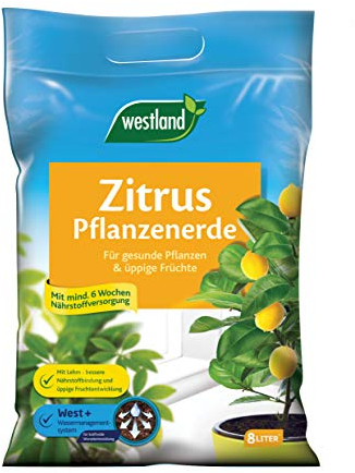 Westland Zitruspflanzen Erde, 8 l – Erde mit Tongranulat für gesunde Zitronenpflanzen, Zitruserde zur optimalen Wasser- und Nährstoffversorgung