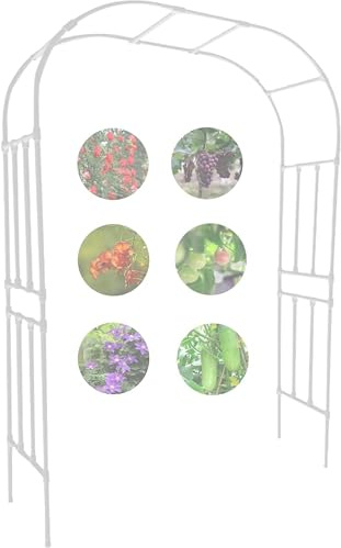 Arche d'escalade de jardin résistant aux intempéries en métal rose arc gazebo grimpant support de plante largeur 120-320 cm hauteur 240 cm facile à installer (couleur : blanc)