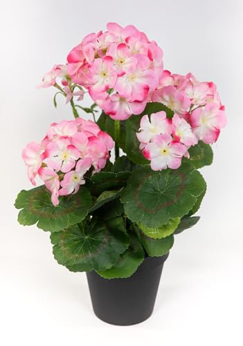 Seidenblumen Roß Künstliche Geranie im Topf 34cm LM Kunstblumen künstliche Pelargonium Blumen Pflanzen (Rosa - 34cm)