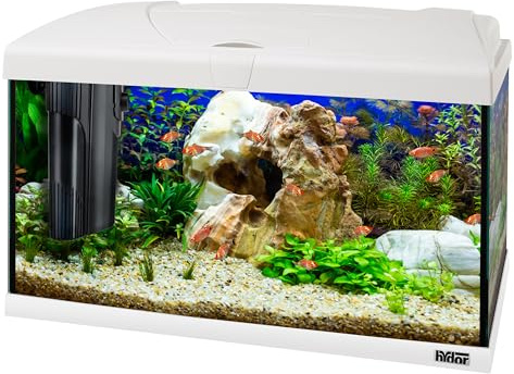 Hydor Aquarium 60L pour Poissons Tropicaux ou d'eau Douce, Aquarium Complet: Lampe LED, Filtre Interne à 2 étages, Chauffage, 60 x 31,5 x h 39,5 cm. en Verre Blanc