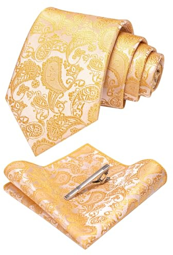 JEMYGINS Graziös Paisley Elegant Herren Krawatte und Einstecktuch mit krawattenklammer Sets