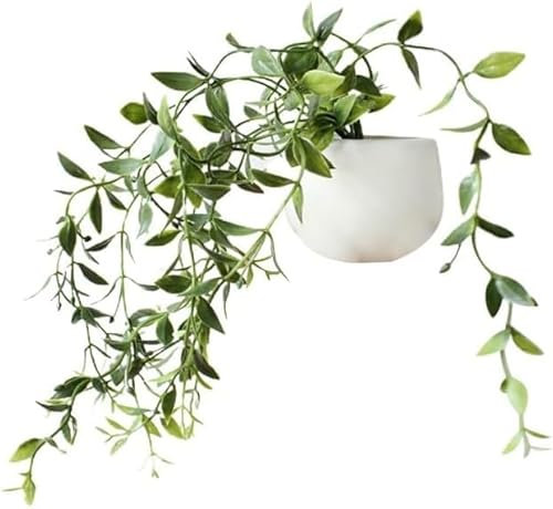 3D Green Plants Decorative Magnets for Fridge,Fridge Magnet Locker Magnets for Office Kitchen House, Adults Refrigerator Magnets, Kitchen Accessories