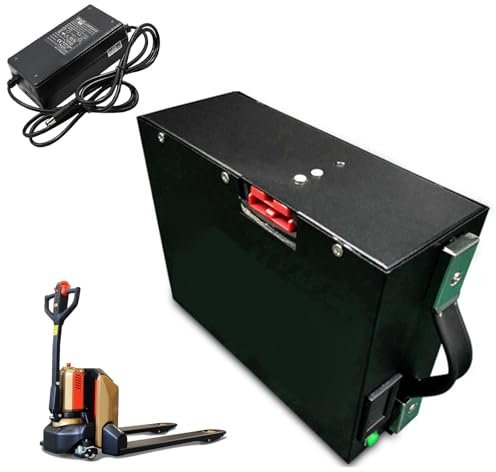 JCXYL EV Batteria al Litio per carrelli elevatori elettrici da 48 V 10 Ah 15 Ah 30 Ah Batterie per transpallet elettrici da 24 V 20 Ah 25 Ah per Motore da 0 a 1500 W,48v 15ah