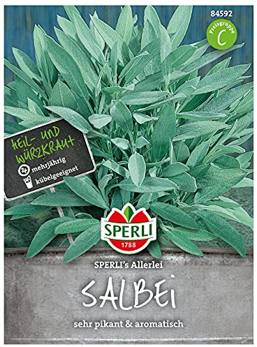 84592 Sperli Premium Salbei Samen | Samen Salbei | Salbei Samen Mehrjährig | Weißer Salbei Samen | Kräuter Samen