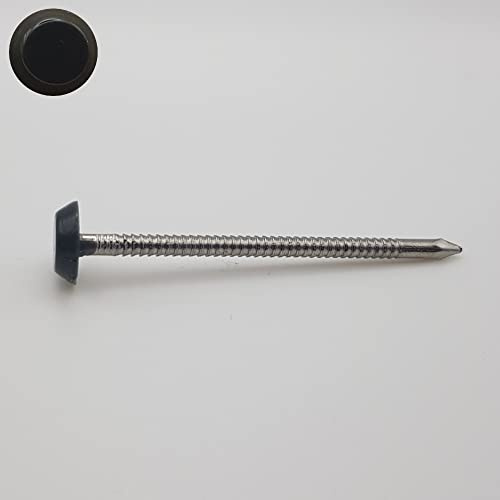 Pointes tête RAL 7016 gris anthracite Inox A4 pour rive 50mm par 100