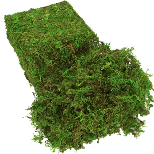 BYHER Fake Moss for Plants Indoor, 16OZ Green Moss for Crafts, Artificial Moss for Faux Plant Fairy Garden Table Centerpieces Wedding Decor,1LBS Fresh Green Craft Moss