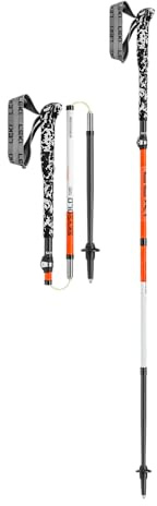 LEKI Skysolo FX.One Carbon
