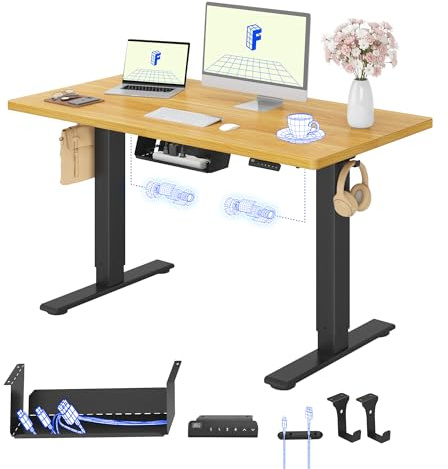 FLEXISPOT Höhenverstellbarer Schreibtisch elektrisch, Doppelmotor 120x80 cm | 25 mm einteilige Tischplatte, Kabelmanagement&Memory-Funktion, ergonomischer Büro-&Computertisch, elektrisch höhenverstellbar