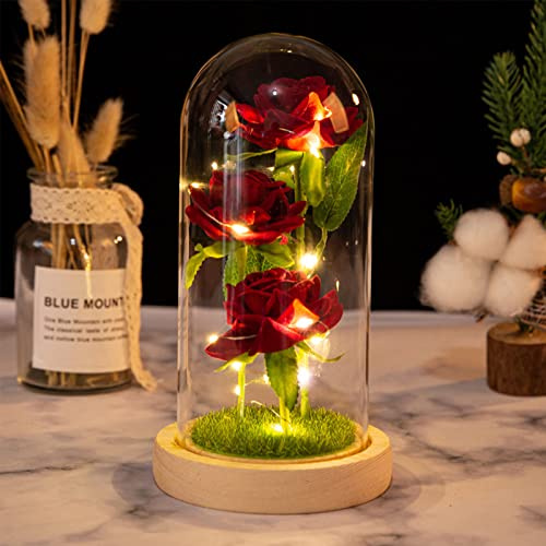 ZWMBYN Bella e la bestia Rose regalo di San Valentino per lei, rosa illuminata in vetro, fiore artificiale regalo da donna per compleanno, anniversario, festa della mamma