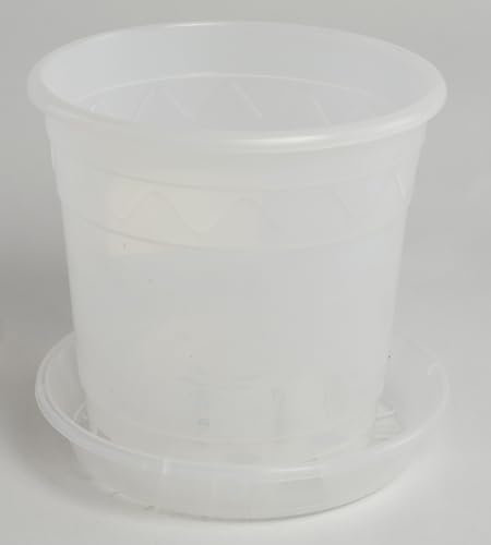 Pot à orchidée laiteux avec soucoupe assortie en différentes tailles - Couleur : transparent laiteux - Diamètre : 16 cm