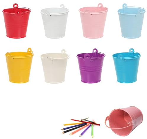 Lot de 8 mini seaux en métal portable pour pots de fleurs suspendus 8 couleurs pour jardin