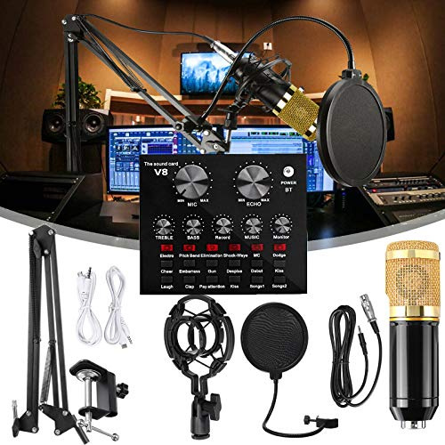 Ensemble de Microphones à condensateur, kit de Micro BM-800 avec Carte Son en Direct, Microphone à condensateur de Studio cardioïde Professionnel et Support de Bras à Ciseaux à Suspension réglable