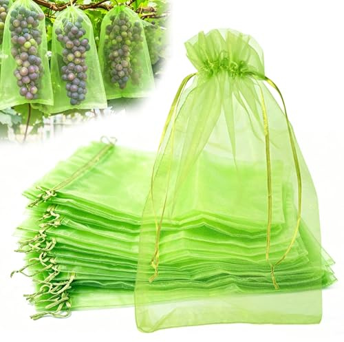 LINSOCLE Druvskyddspåse 50 x 35 cm, 50 stycken organzapåsar stor XXL vindruvor nät, skyddspåse för frukt mot insekter och fåglar