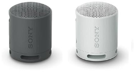 Sony SRS-XB100 - Enceinte sans Fil Bluetooth, Portable, légère, compacte (Noir + Gris)