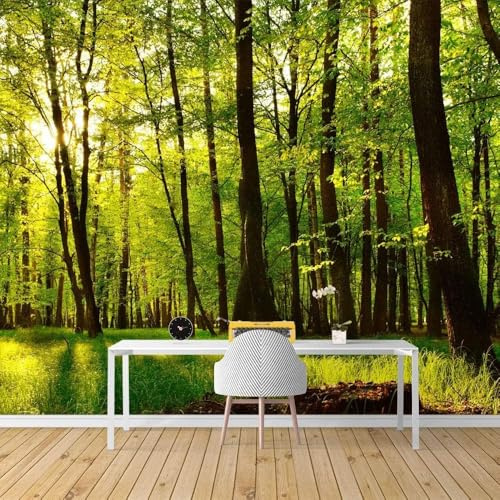 Papier Peint Photo 3D Papier Peint Salon Chambre Bureau Couloir Décoration Peintures Murales Décoration Murale Moderne - Affiches Murales Peel And Stick Wall Art Stickers 200 x 150 cm -787260-72791