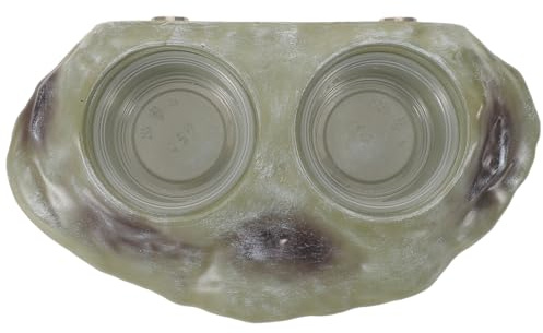 BUGUUYO Gamelle Magnétique Double pour Lézard et Insectes Bol Alimentaire Surélevé pour Reptiles et Petits Animaux Compatible Terrariums Caméléons et Geckos Entretien Facile Vert Lot