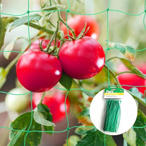 Auriselle Rete di Protezione per Ortaggi 2x3m per Cetrioli e Piante Rampicanti Rete per Uccelli con Lacci per Piante per la Schermatura del Giardino Rete di Protezione per Uccelli