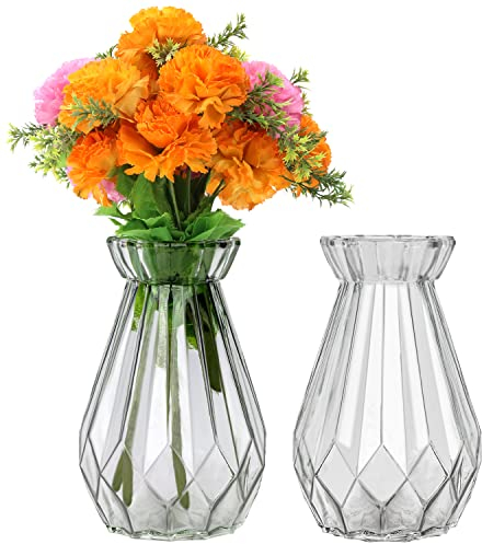 Belle Vous Transparente Vase aus klarem Kristall (2 Stück) – 15 cm – zylindrische Vase aus Glas, dekorativ und modern, für Blumen – Glasvase für Tischmitte und Bürodekoration