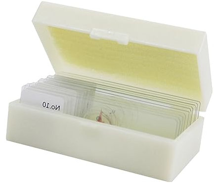 HAWILLOSCH 10stücke Mikroskop Set Mit Probenpräparaten Objektträgern Aus Glas Vorbereiteten Biologie-präparaten Für Schüler Und Junge Mädchen Pädagogische Zwecke Naturwissenschaften Interesse