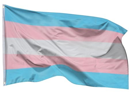 PHENO FLAGS Transgenderflagga 90 x 150 cm – väderbeständig Pride-flagga med mässingsöglor, 100 % polyester, robust dubbelsöm & i levande färger – perfekt för flaggälskare
