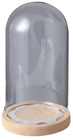 HAEUYA Glasglocke, Tischvitrine, 1 Stück runde Glasglocke, dekorative Tischglocke mit holzfarbenem Sockel for Pflanzen, Sammlerfiguren, Kerzen, Medaillen(12 * 35cm)