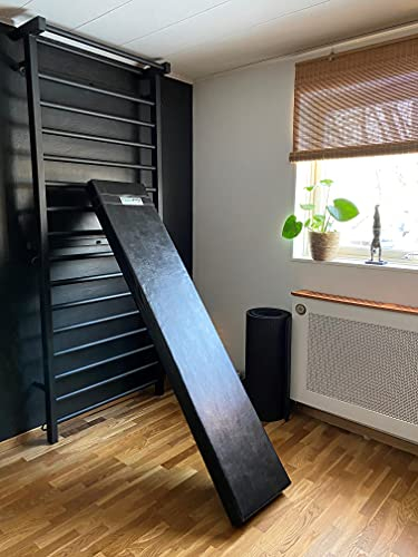 Artimex-Set Sprossenwand aus Metall mit Schrägbrett für Gymnastik und Fitness - verwendet in Heimen, Fitnessstudios oder Fitnesscentern, Artikelnr. 221-Metall-Set