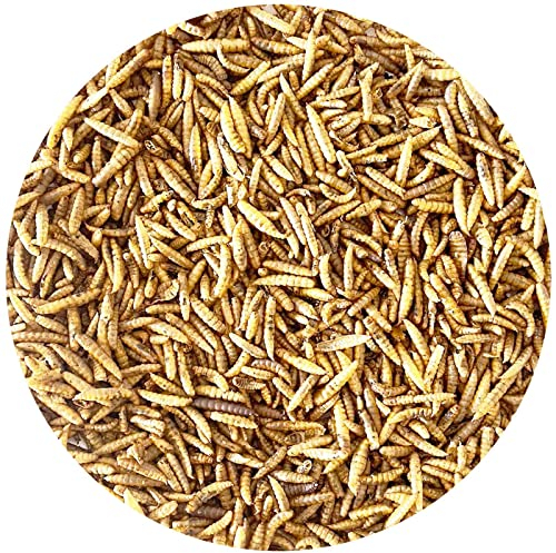 Liebesvogel für Wildvögel 5kg Soldatenfliegenlarven Vogelfutter Fischfutter (wie Mehlwürmer)