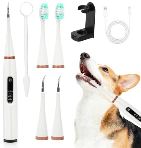 Zahnsteinentferner Hund, Zahnsteinentferner Ultraschall, Zahnstein Set mit 5 Modi, 1 Reinigungsköpfen und 2 Bürstenköpfen, Elektrische Zahnbürste für Zahnpflege zu Hunde und Katzen
