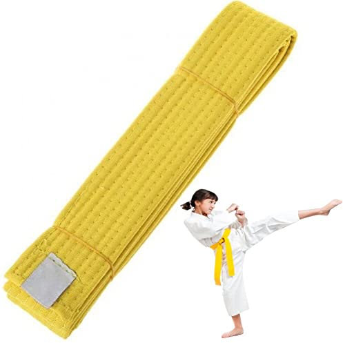 Wudaizhi 2,2 m professioneller Taekwondo-Gürtel, Gürtel für Kampfsportbewertungen, Dicker Judo-Karate-Gürtel für Sporttraining