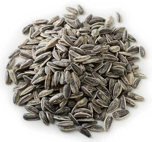 Roasted and Salted Sunflower Seeds in Shell 2kg – Whole Dry Oven Roast Salt Savoury Salty Pipas Black Unshelled with Shells - Large Bulk - for Human Consumption to Eat (Packaging May Vary) PURIMA