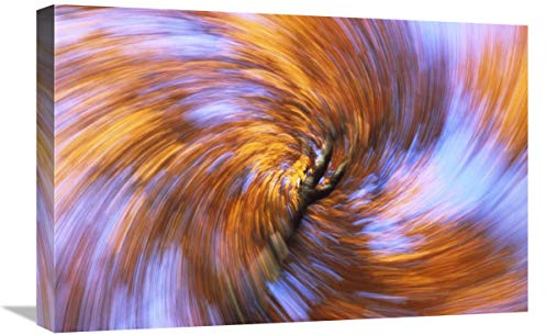 16 x 24 in. European Beech Abstract of Autumn Colors, Germany Art Print - Konrad Wothe