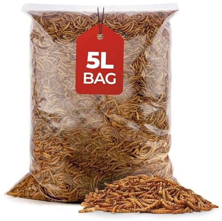 Beewarm Dried Mealworms for Wild Birds 5L Bag - Premium Meal Worms for Chickens Garden Birds - High Protein Bird Food Mealworms - Natural Worms for Birds Robins Crows