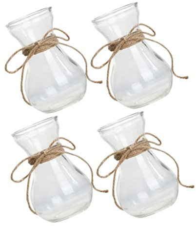 Vases Lot de 4 en Verre Transparent pour Hydroponie et Décoration