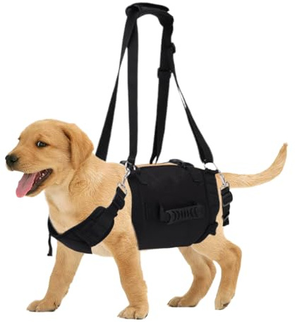 Valpsele, hundsele med handtag – justerbar hundsele med kontrollhandtag, inget stickande, husdjurssele med handtagssele, extra hundkoppel för små, medelstora och Hu