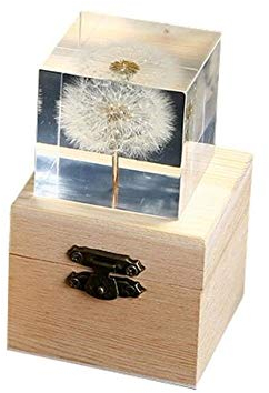 Beruyu 3D Dandelion Daisy Cube Crystal Glass Decoration Ornament, Immortal Flower Glass Paperweight, with Wooden Gift Box (Dandelion)