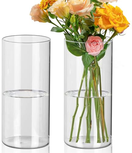 Fizdoqg Glasvase Zylinder 20 cm Hoch 2 Stück Gläser für Kerzen, Glaszylinder für Kerzen, Zylindrische Glasvase für Kerzen, Blumen, Kieselsteine, Hochzeit, Tischdeko, Rund