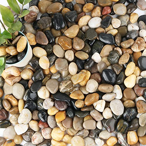 Anothera Kieselsteine für Pflanzen, 2,5 - 5,1 cm, Aquarienkies, Flusssteine, Garten, Outdoor, 8,2 kg