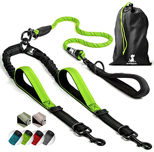 Hundeleine für 2 Hunde mit Bungee Verlängerung für Große und Mittelgroße Hunde mit Ruckdämpfer | Reflektierende Elastische Hundeleine zum Spazierengehen (Grün)