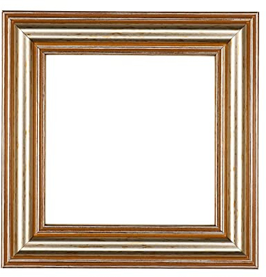 ElekTek Decorative Switch Surround Frame Cover Finger Plate Edwardian Regency Silver Antiqued