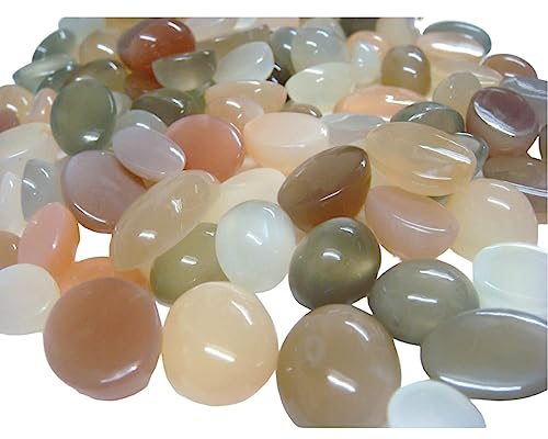 Gems For Jewels Damen 8x10mm-13x20mm Multi Mondstein schlichte ovale Cabochons, Mondstein Cabochons mit flacher Rückseite für Schmuck, Mondstein Cabochons (5 Stück bis 10 Stück Optionen) (10 Stück)