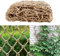 Plant Support Net,Jute Twine Trellis Netting and Bean Netting for Garden Bean Fruits Climbing Plants Sweet Peas