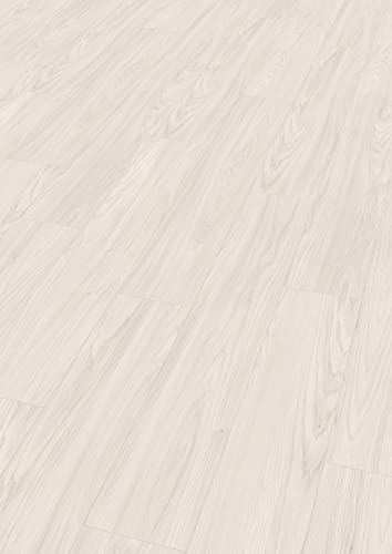 EGGER Laminatboden Aqua Clic It EL1003 Sheffield Akazie weiss (8mm, 1,995m²) | authentische Holzoptik | | Einfache Verlegung durch Klicksystem | Praktisch & wertbeständig