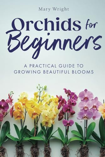 Orchids for Beginners: A Practical Guide to Growing Beautiful Blooms