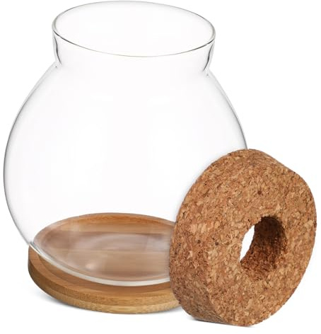 Milisten Petit Aquarium Verre pour Poissons Betta Terrarium De Bureau avec Couvercle Décoration pour Plantes Aquatiques